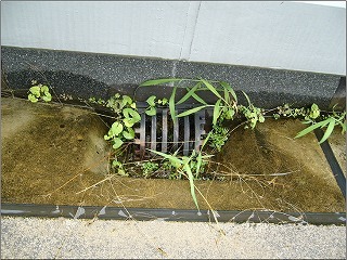RC（鉄筋コンクリート） ありがちな原因で水漏れ